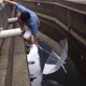 Illustration for article titled Heroic Rescue of a Kitten Captured on Twitter